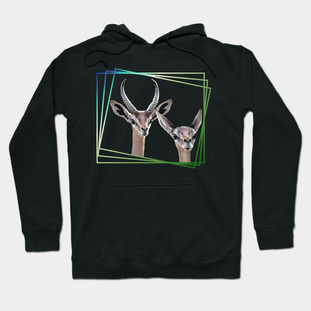 Gerenuk - Gazelle in Kenya / Africa Hoodie by T-SHIRTS UND MEHR